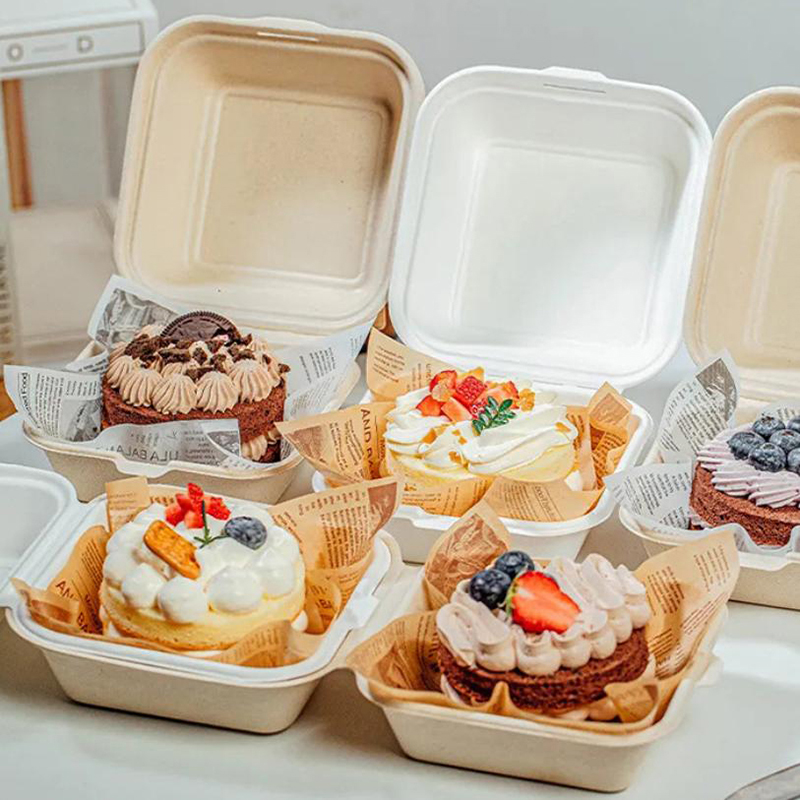 Nice Food Snacks - 【Schön】10 Stück Einweg-Bento-Lebensmittelbehälter, Back- und Dessertschalen,