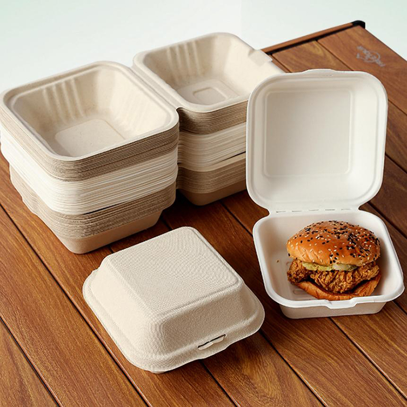 【Schön】10 Stück Einweg-Bento-L – Nice Food Snacks Bewertung und Preis