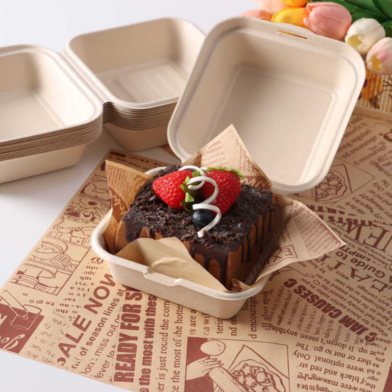 【Schön】10 Stück Einweg-Bento-L – Nice Food Snacks Bewertung und Preis